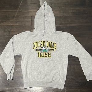 Men’s Notre Dame Fighting Irish Champion Authentic Athleticwear Hoodie